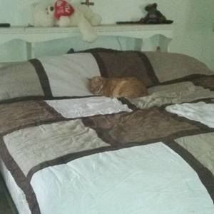 Meet your Posher, Gilbert